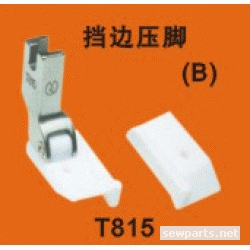 T815/(B)